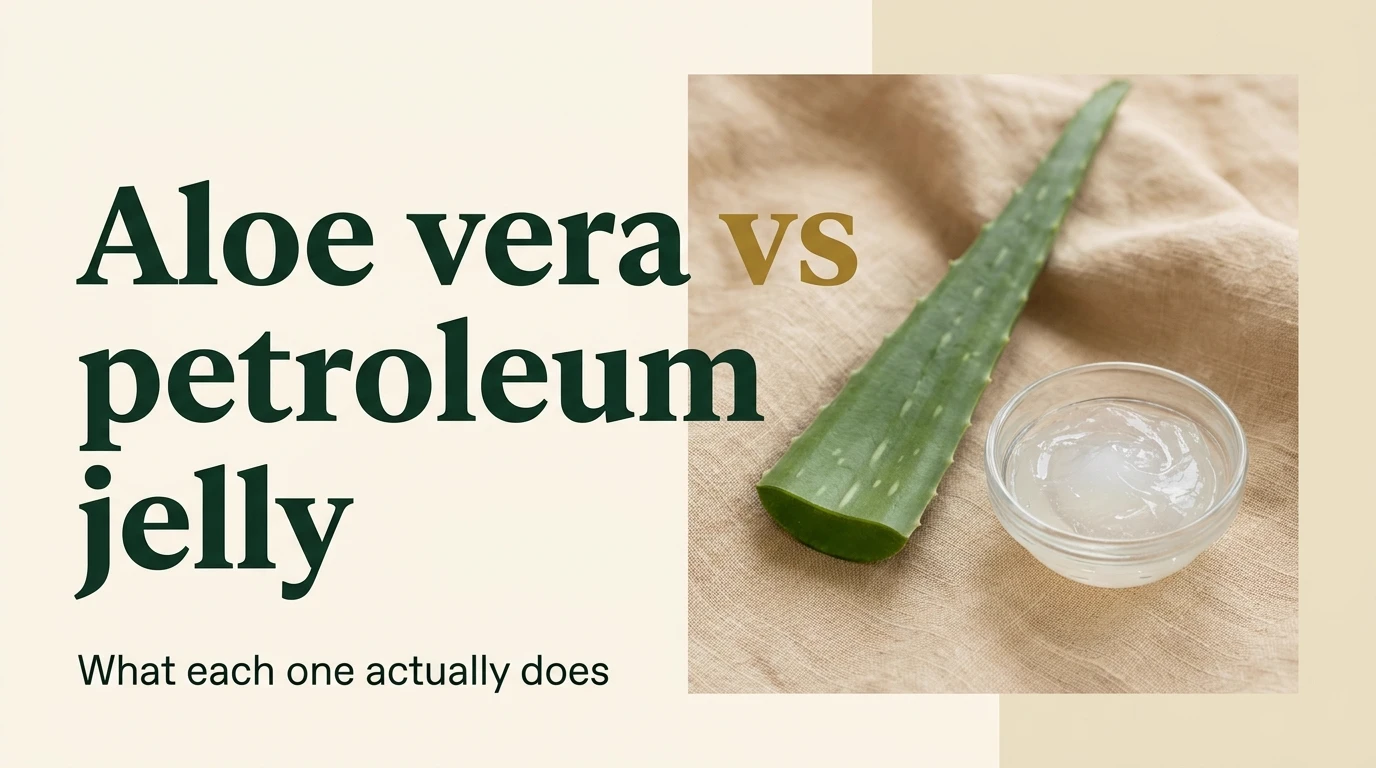 A cut aloe vera leaf and a glass dish of petroleum jelly, with the headline: aloe vera vs petroleum jelly